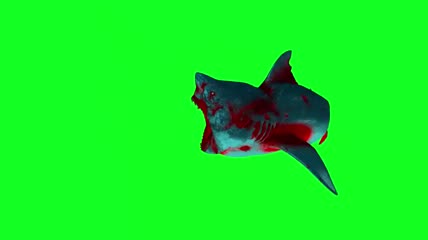 绿幕视频素材僵尸鲨鱼