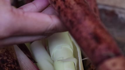 4K春笋小竹笋乡村美食制作视频素材