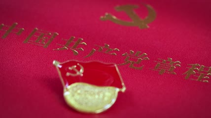 4K建党100周年党徽党章党员宣誓七一