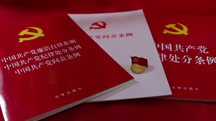 4K廉洁自律准则纪律处分条例问责条例书籍