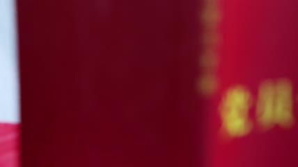 4K党员学习党建书籍读本建党100周年