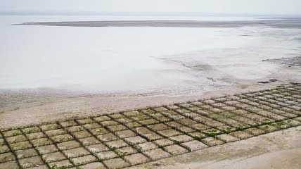 风沙防治实拍剪辑——沙漠航拍+种植树木环保公益