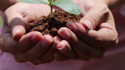4K-手捧幼苗绿色希望未来实拍视频