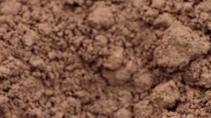 4K双手栽种播种幼苗浇水实拍视频