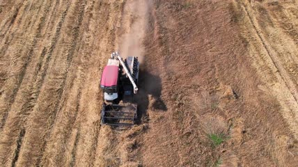 农业农田航拍麦子丰收收割机收麦子4K视频
