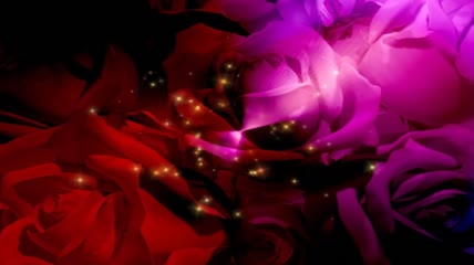 玫瑰花与光效组合成的温馨浪漫舞台背景