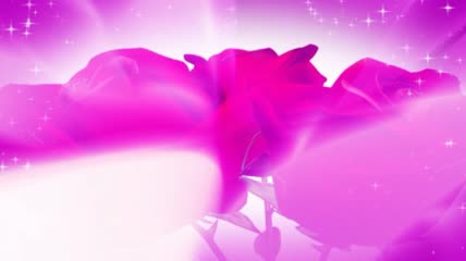 粉色玫瑰花与光效背景素材