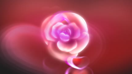 玫瑰花与光效组合成的背景素材