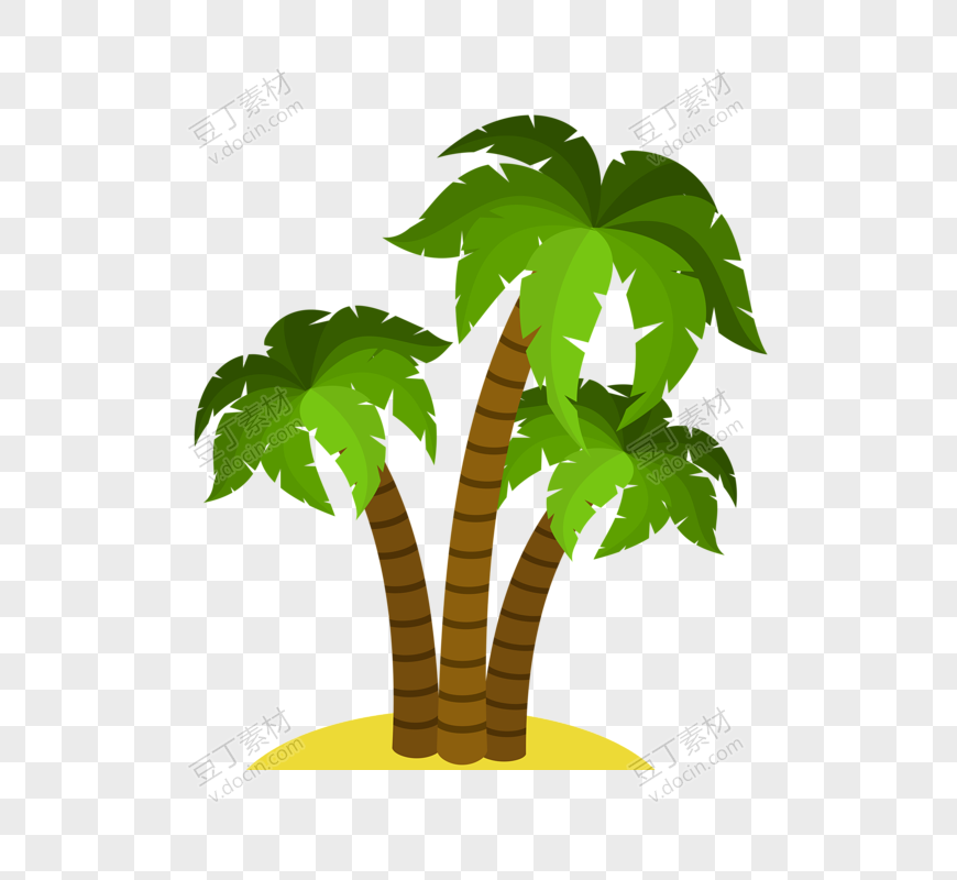 棕榈树(52)