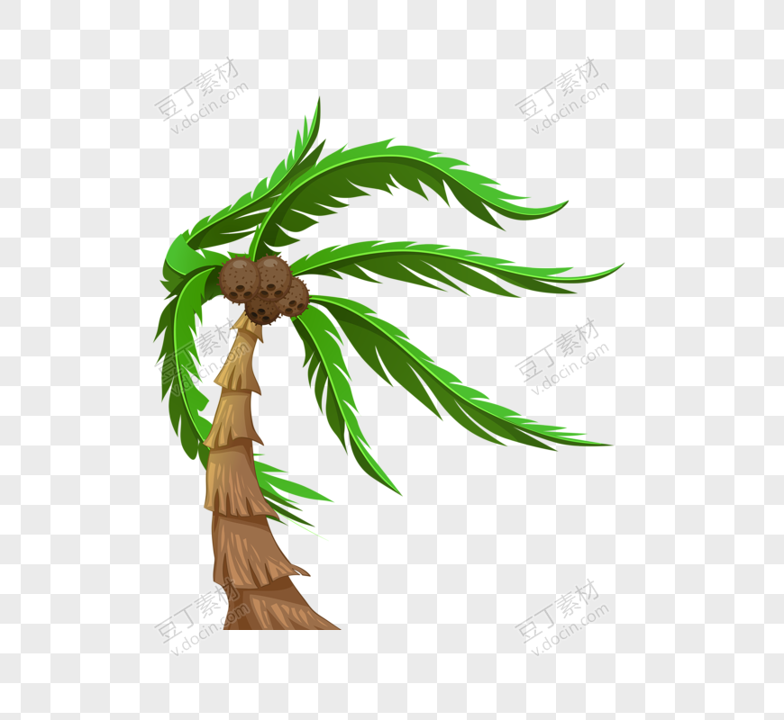 棕榈树(53)
