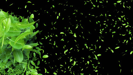 高清绿色树叶特效粒子转场视频素材1