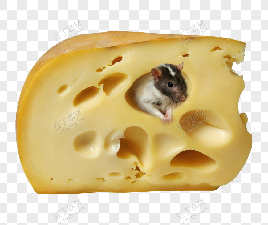 奶酪(2)