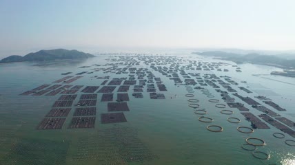 渔场广东漳州东山岛渔场航拍