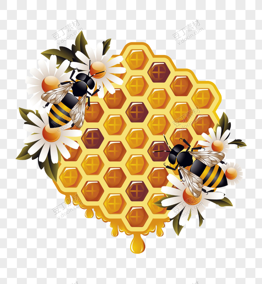 蜂蜜(115)