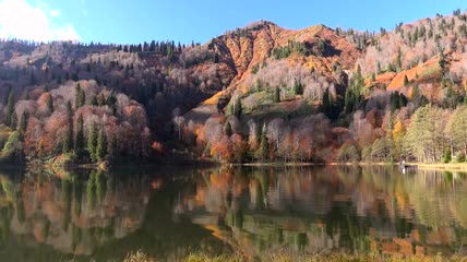 美丽的湖泊和秋天的森林实拍
