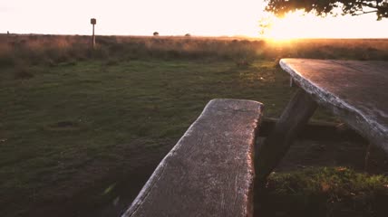 日落时森林里的野餐桌特写实拍
