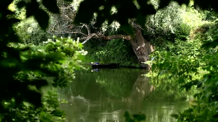 森林河流上的小船实拍