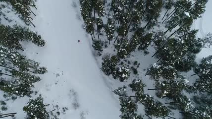 俯瞰森林中的滑雪