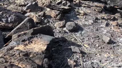 烧毁的森林土壤和岩石特写实拍
