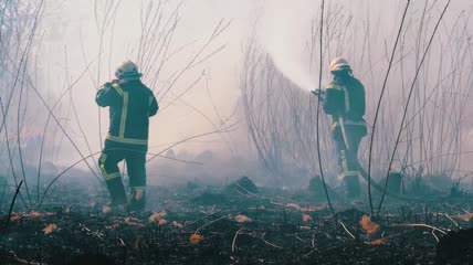 消防队员扑灭森林大火实拍
