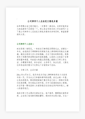 公司律师个人总结范文多篇