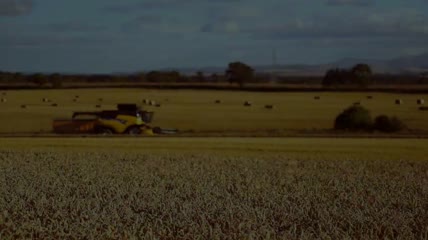 金黄小麦农田机械视频素材