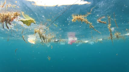 海洋塑料污染特写