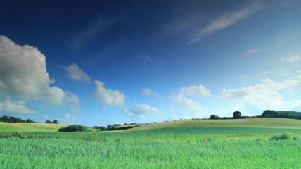草原 蓝天 白云 自然美景