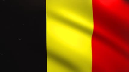 比利时国旗动画