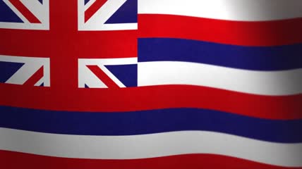 夏威夷__飘扬的旗帜-美国州和领地的旗帜