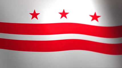 华盛顿特区 __飘扬的旗帜-美国州和领地的旗帜