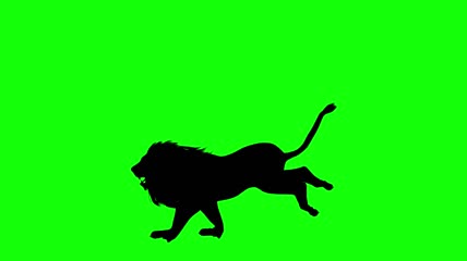 奔跑的狮子剪影绿屏抠像