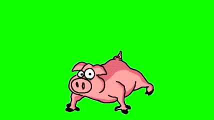 搞笑小猪健身儿童卡通动画绿屏抠像