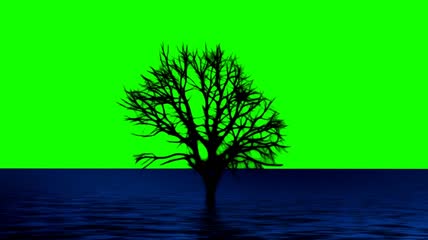 海中大树剪影绿屏抠像