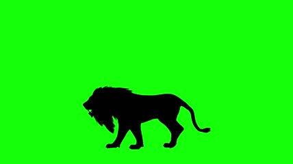 行走的狮子剪影绿屏抠像