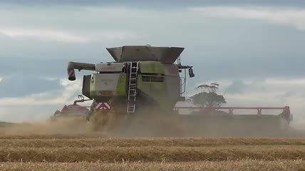 农业小麦丰收机械化收割