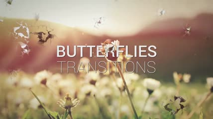 25款美妙蝴蝶群的转场过渡动画效果AE模板