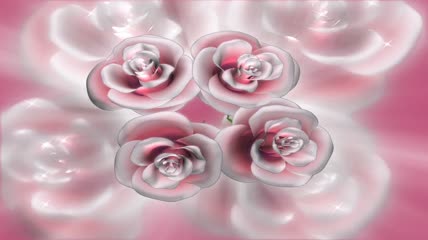 浪漫玫瑰花旋转动态视频素材