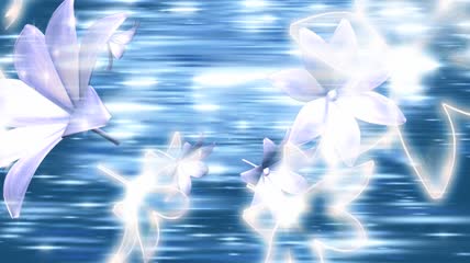 湖水中的白色花朵动态视频素材