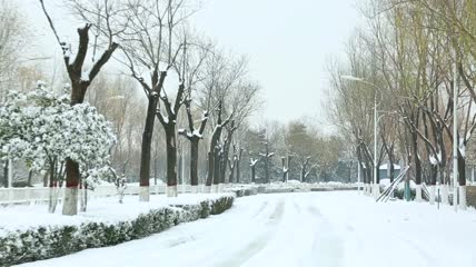 西安世园会冬委雪景高清实拍