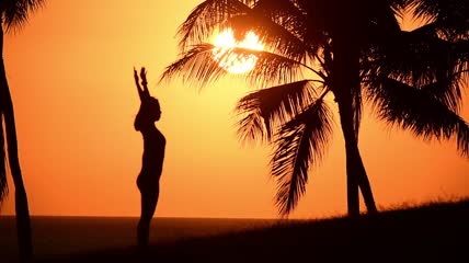 黄昏椰子树下瑜伽
