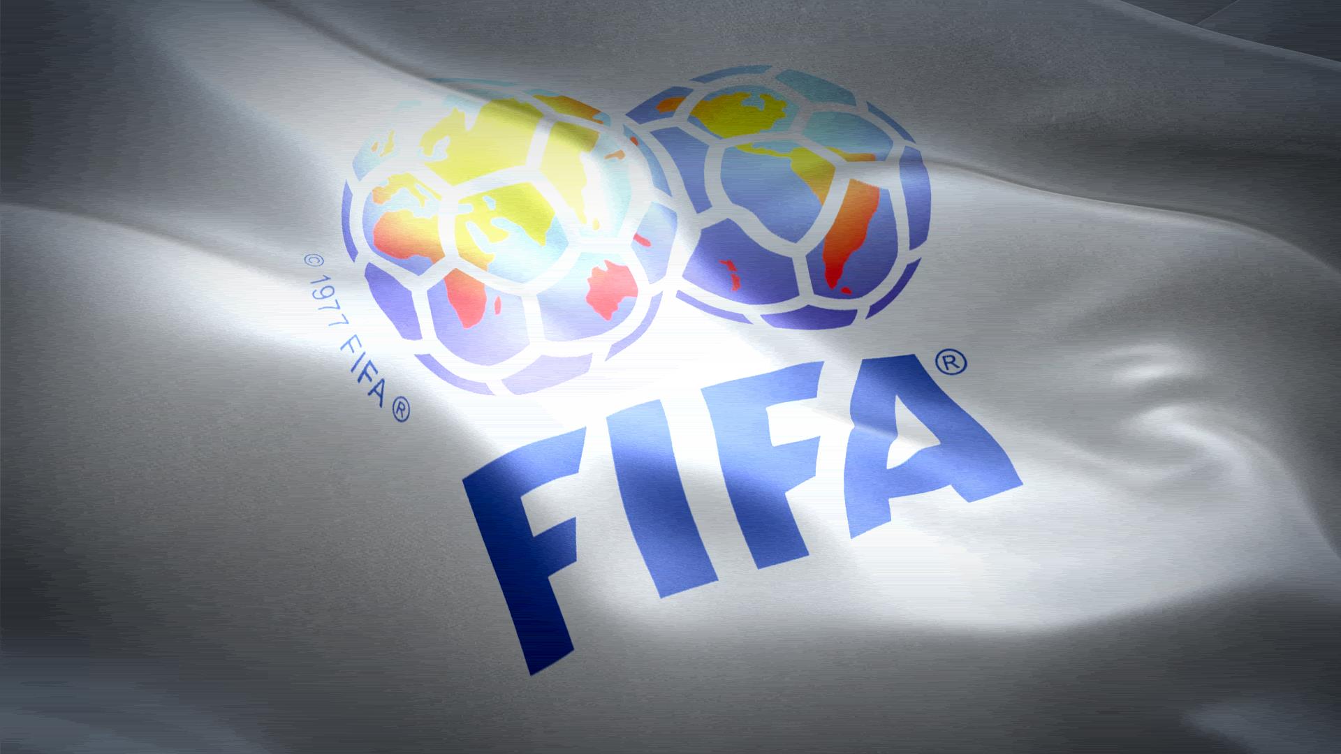 国际足球联合会旗帜动画