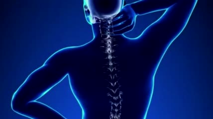 三维人体脊柱脊椎颈椎机能-人体健康-医学