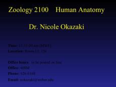 Human Anatomy[人体解剖学](PPT-75)