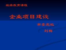 企業項目建設  劉梅