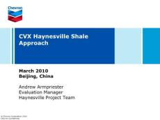 頁(yè)巖氣Haynesville_Andy