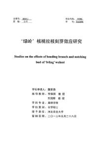 ‘綠嶺’核桃拉枝刻芽效應(yīng)研究