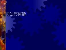 第四章 感知與傳播