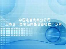 浙江电信杭州分公司三网合一宽带品牌营销推广策划方案