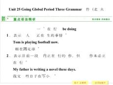 Unit 25 Going Global Period Three Grammar 課件（北師大版選修9，課標(biāo)通用）